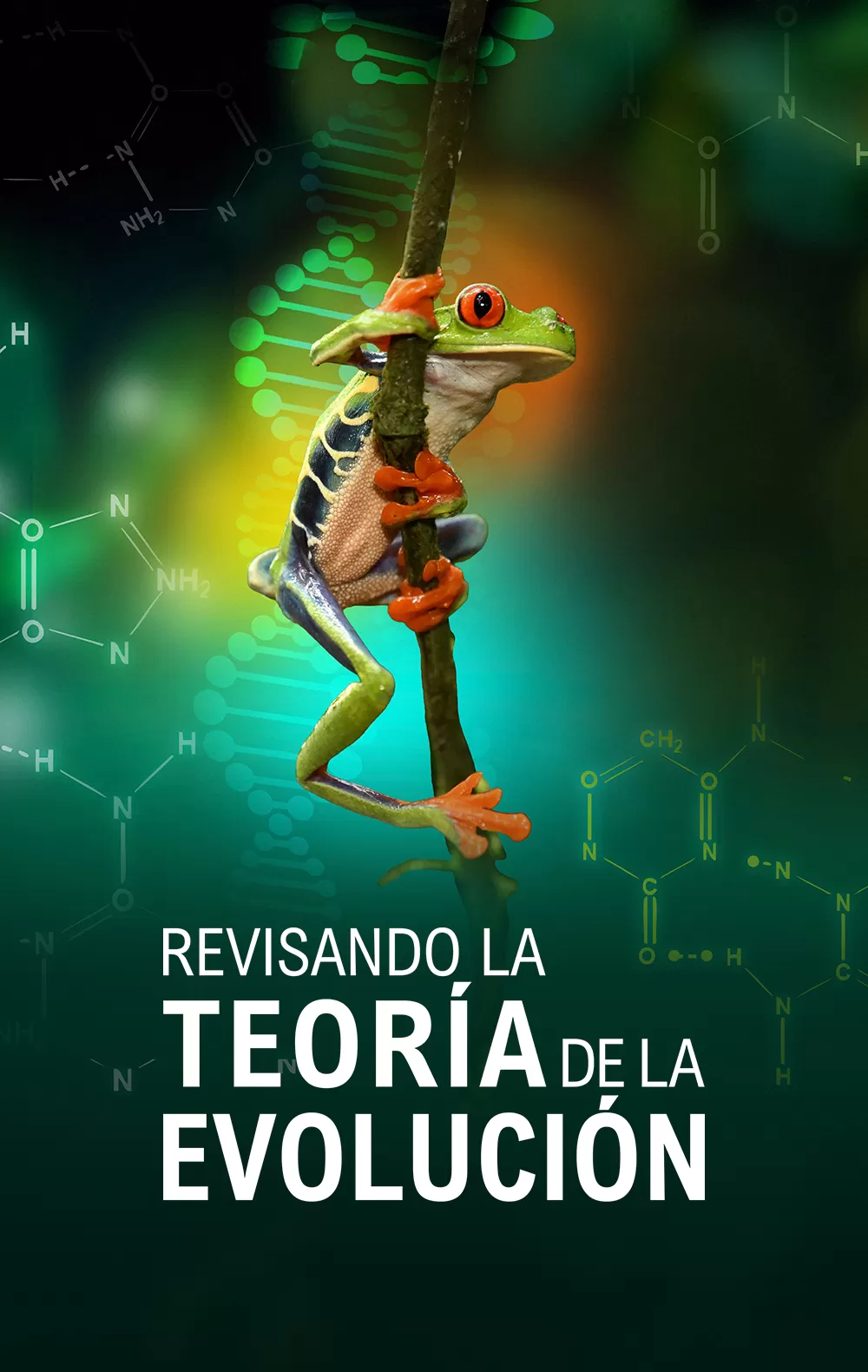 Stream Movies and Sports with Buy IPTV Subscription